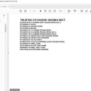 Tadano Cargo Crane TM-ZF300 31013020291 BOOM/4 SECT.Parts Manual - PDF DOWNLOAD