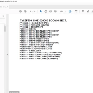 Tadano Cargo Crane TM-ZF500 31093020060 BOOM6 SECT. Parts Manual - PDF