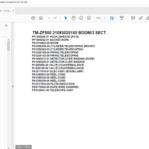 Tadano Cargo Crane TM-ZF500 31093020100 BOOM3 SECT.Parts Manual - PDF DOWNLOAD