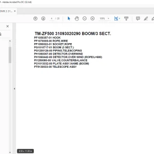 Tadano Cargo Crane TM-ZF500 31093020290 BOOM/3 SECT.Parts Manual - PDF DOWNLOAD