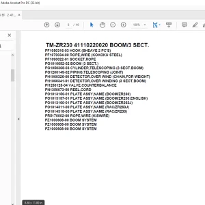 Tadano Cargo Crane TM-ZR230 41110220020 BOOM/3 SECT. Parts Manual - PDF DOWNLOAD