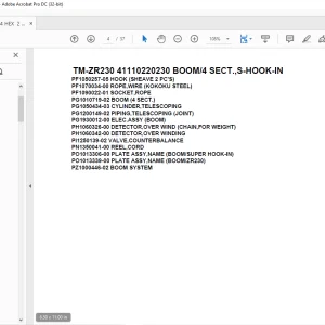 Tadano Cargo Crane TM-ZR230 41110220230 BOOM/4 SECT.,S-HOOK-IN Parts Manual - PDF