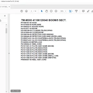 Tadano Cargo TM-M300 41106120040 BOOM/5 SECT. Parts Manual - PDF DOWNLOAD