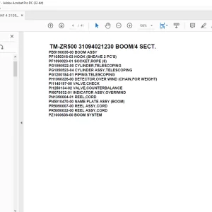 Tadano Cargo Crane TM-ZR500 31094021230 BOOM/4 SECT. Parts Manual - PDF DOWNLOAD