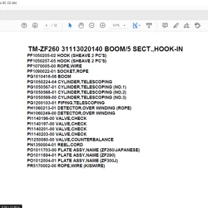 Tadano Crane TM-ZF260 31113020140 BOOM5 SECT.,HOOK-IN Parts Manual - PDF DOWNLOAD