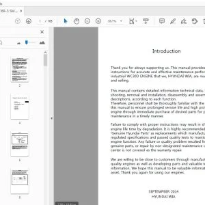 Hyundai WC30D TIER-3 Engine Service Manual - PDF DOWNLOAD