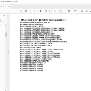 Tadano Crane TM-ZR300 31014020020 BOOM/3 SECT. Parts Manual - PDF DOWNLOAD