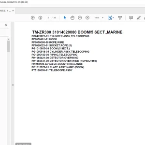 Tadano Crane TM-ZR300 31014020080 BOOM/5 SECT.,MARINE Parts Manual - PDF DOWNLOAD
