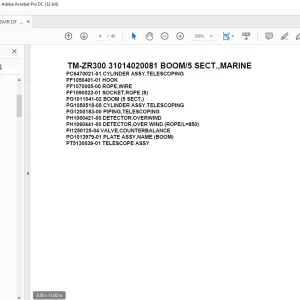 Tadano Crane TM-ZR300 31014020081 BOOM/5 SECT.,MARINE Parts Manual - PDF DOWNLOAD