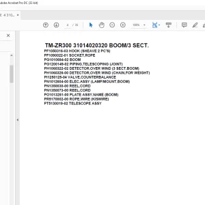 Tadano Crane TM-ZR300 31014020320 BOOM/3 SECT. Parts Manual  - PDF DOWNLOAD