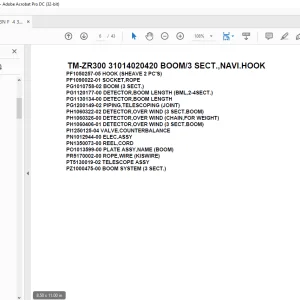 Tadano Crane TM-ZR300 31014020420 BOOM/3 SECT.,NAVI.HOOK Parts Manual - PDF DOWNLOAD
