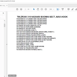 Tadano Crane TM-ZR300 31014020450 BOOM/6 SECT.,NAVI.HOOK Parts Manual - PDF DOWNLOAD