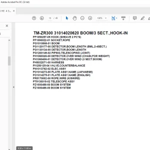 Tadano Crane TM-ZR300 31014020620 BOOM/3 SECT.,HOOK-IN Parts Manual  - PDF DOWNLOAD