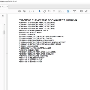 Tadano Crane TM-ZR300 31014020650 BOOM/6 SECT.,HOOK-IN Parts Manual - PDF DOWNLOAD