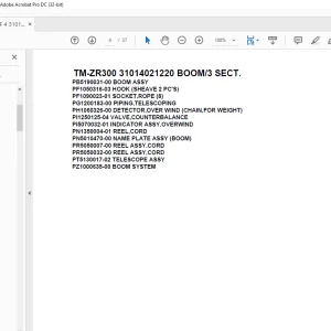 Tadano Crane TM-ZR300 31014021220 BOOM/3 SECT. Parts Manual - PDF DOWNLOAD