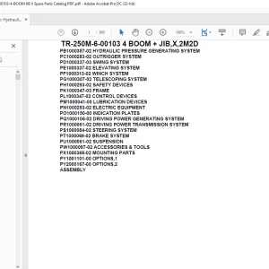Tadano Crane TR-250M-6-00105 4 BOOM + JIB,H,2M2D Parts Manual -  PDF DOWNLOAD