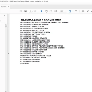 Tadano Crane TR-250M-6-00106 5 BOOM,X,2M2D Parts Manual - PDF DOWNLOAD