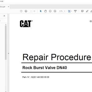CAT Rock Burst Valve DN40 Repair Procedure Manual  - PDF DOWNLOAD