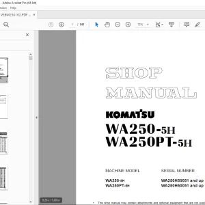 Komatsu WA250-5H, WA250PT-5H Wheel Loader Shop Manual VEBM230102 PDF