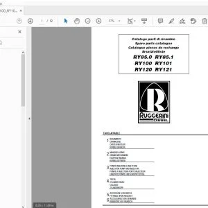 Ruggerini Diesel RY85.0 RY85.1 RY100 RY101 RY120 RY121 Parts Manual - PDF DOWNLOAD