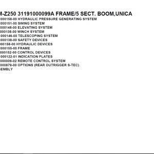 Tadano TM-Z250 31191000099A FRAME/5 SECT. BOOM,UNICA Parts Manual PDF