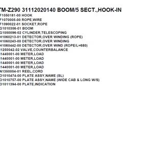 Tadano Crane TM-Z290 31112020140 BOOM/5 SECT.,HOOK-IN Parts Manual PDF