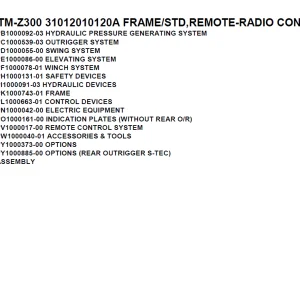 Tadano TM-Z300 31012010120A FRAME STD,REMOTE-RADIO CONT Parts Manual PDF