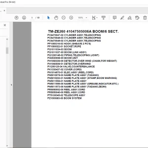 Tadano Crane TM-ZE260 41047505006A BOOM/6 SECT Parts Manual PDF