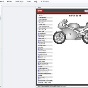 1999-2003 Aprilia RS125 Parts Manual - PDF DOWNLOAD