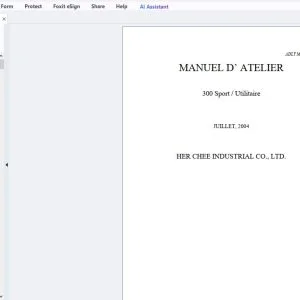 2004 Adly 300 Sport/Utilitaire Manuel D'Atelier - PDF DOWNLOAD