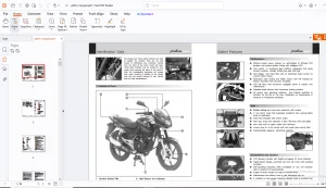 Bajaj Pulsar DTS-I UG III(1&2)Repair Manual  - PDF DOWNLOAD