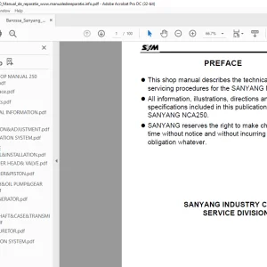 Barossa SANYANG NCA250 Shop Manual - PDF DOWNLOAD