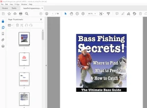 Bass Fishing Secrets The Ultimate Bass Guide - PDF DOWNLOAD