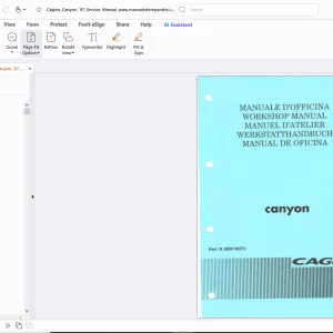 Cagiva Canyon 1997 Workshop Manual - PDF DOWNLOAD