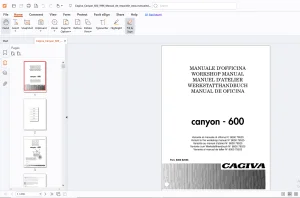 Cagiva Canyon 600 Workshop Manual - PDF DOWNLOAD