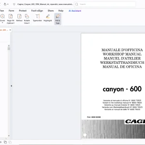 Cagiva Canyon 600 Workshop Manual - PDF DOWNLOAD