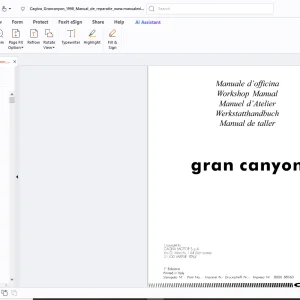 Cagiva Gran Canyon Workshop Manual  - PDF DOWNLOAD