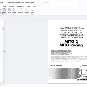 Cagiva Mito 2 & Mito Racing Workshop Manual - PDF DOWNLOAD