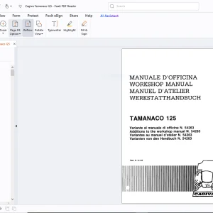 Cagiva Tamanaco 125 Workshop Manual - PDF DOWNLOAD
