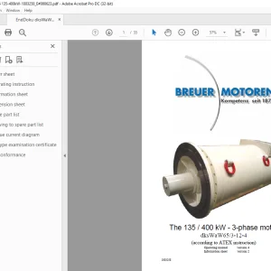 Cat 135 / 400 kW - 3-phase motor dksWaW65/3-12-4 Operating Manual - PDF DOWNLOAD