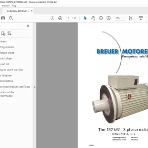 Cat BRIUER 132 kW - 3-phase motor dDKR55FA13-4 Operating manual - PDF DOWNLOAD