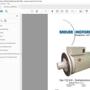 Cat BRIUER Der 132 kW - Drehstrommotor dDKR55FA/13-4 Betriebsanleitung - PDF