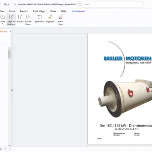Cat Der160/315 kW-Drehstrommotor dksWa650/2-8-4 EN Betriebsanleitung PDF