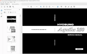 Hyosung Aquila 250 Service Manual 99000-95310 - PDF DOWNLOAD