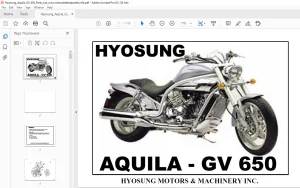 Hyosung Aquila GV 650 Parts Manual - PDF DOWNLOAD