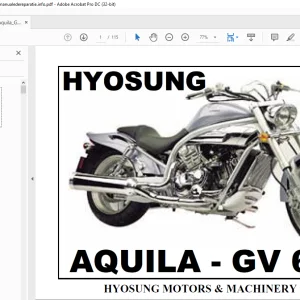 Hyosung Aquila GV 650 Parts Manual - PDF DOWNLOAD