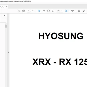 Hyosung XRX - RX 125 Parts Manual - PDF DOWNLOAD