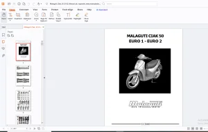 Malaguti Ciak 50 Euro 1- Euro 2 Service Manual - PDF DOWNLOAD