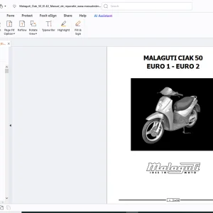 Malaguti Ciak 50 Euro 1- Euro 2 Service Manual - PDF DOWNLOAD