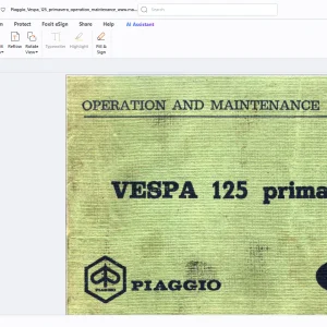 Piaggio Vespa 125 Primavera Operation & Maintenance Manual - PDF